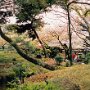Hiroshima, Japan - Shukkeien Garden